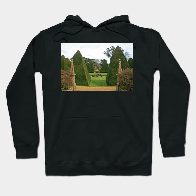 The Great Court Garden Hoodie by RedHillDigital